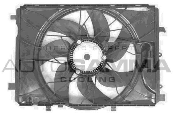 Ventilator, radiator GA226003 AUTOGAMMA