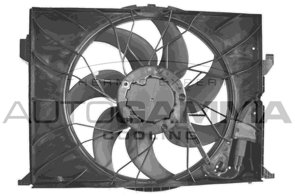 Ventilator, radiator GA226004 AUTOGAMMA