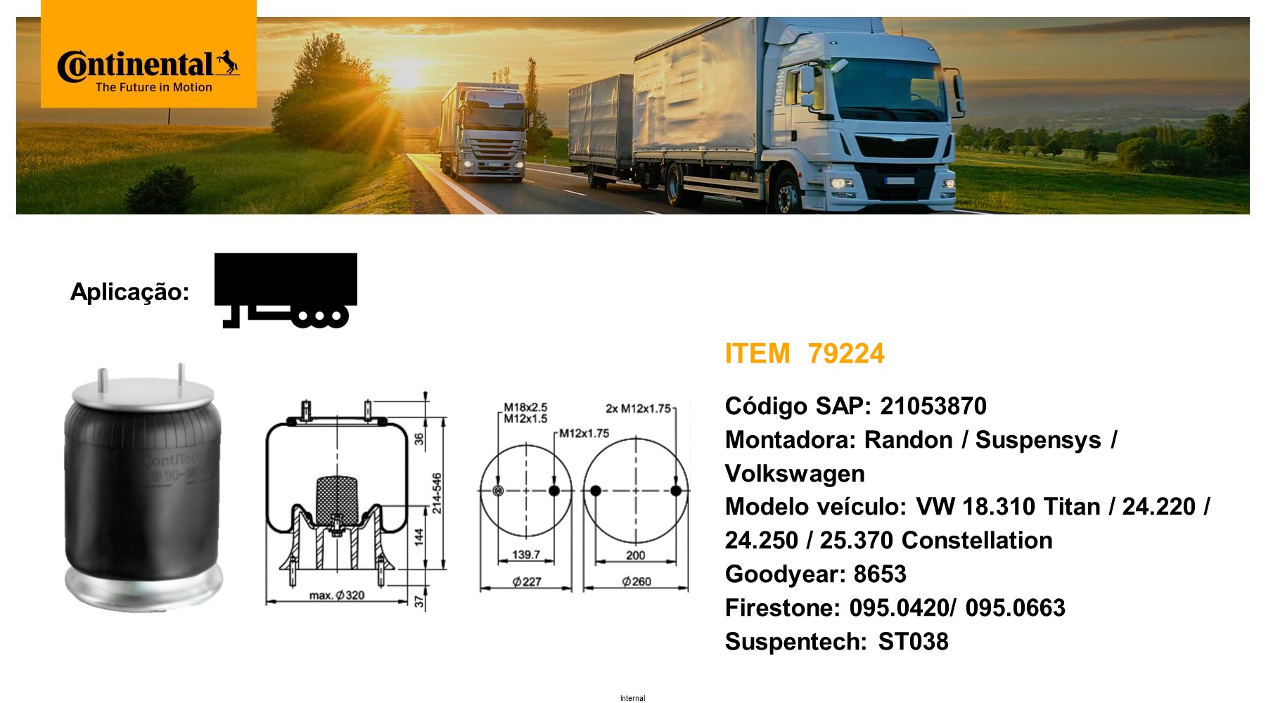 Arc pneumatic, directie 79224 CONTINENTAL CTAM BR