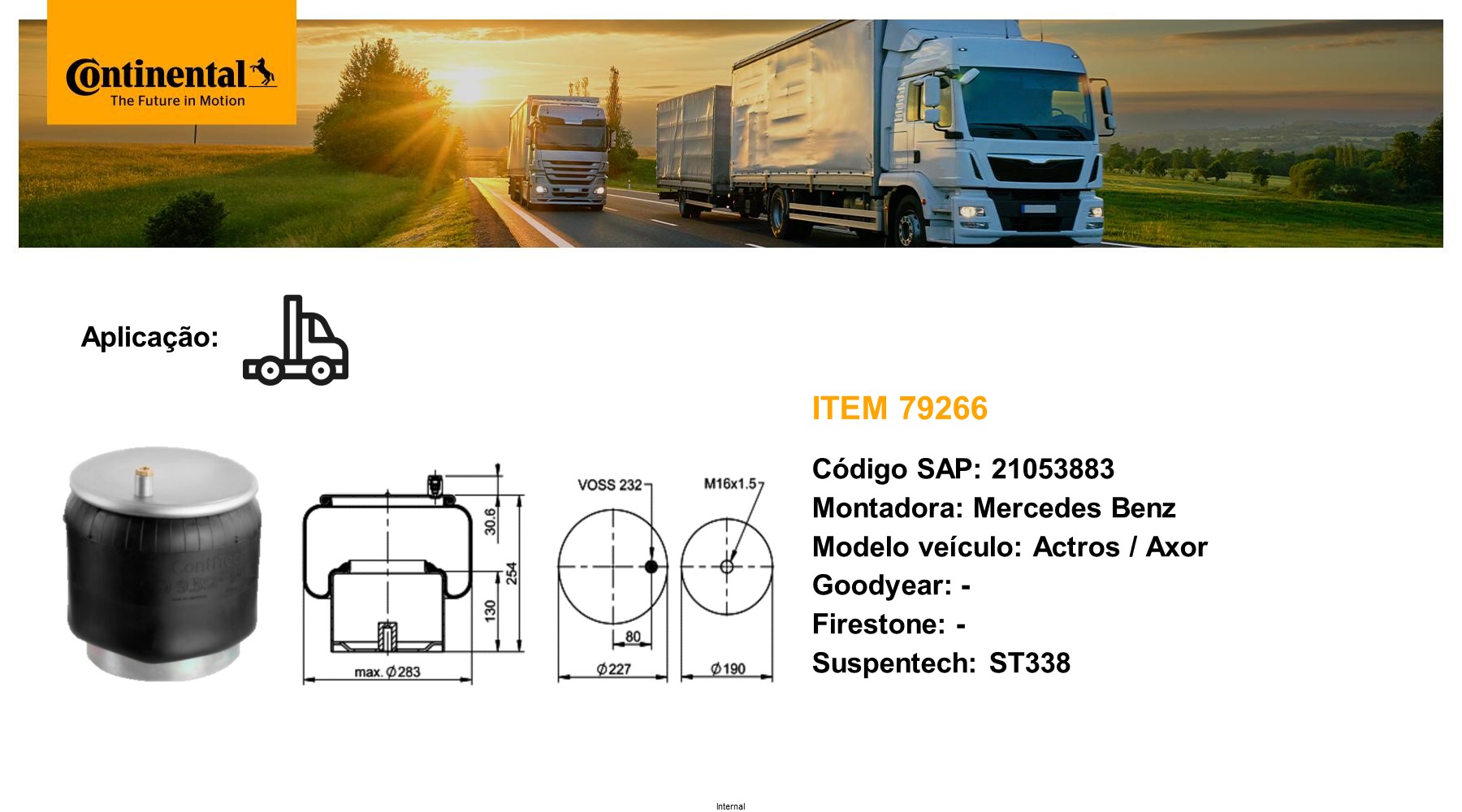 Arc pneumatic, directie 79266 CONTINENTAL CTAM BR
