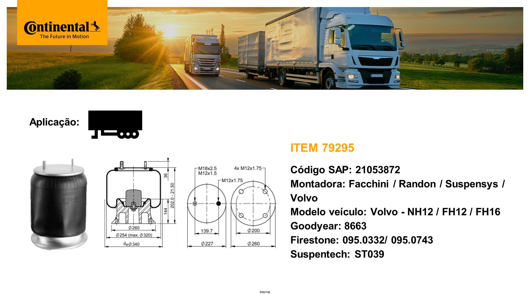 Arc pneumatic, directie 79295 CONTINENTAL CTAM BR