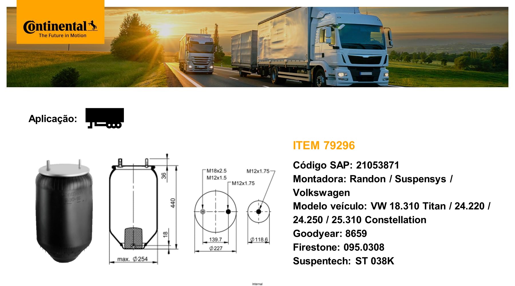 Arc pneumatic, directie 79296 CONTINENTAL CTAM BR