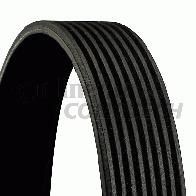 Curea transmisie cu caneluri 8PK1755 CONTINENTAL CTAM BR
