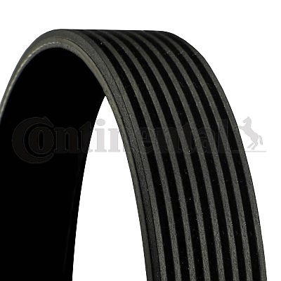 Curea transmisie cu caneluri 8PK1780 CONTINENTAL CTAM BR