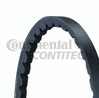 Curea transmisie AVX10X1013 CONTINENTAL CTAM BR