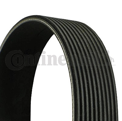 Curea transmisie cu caneluri 10PK1545 CONTINENTAL CTAM BR