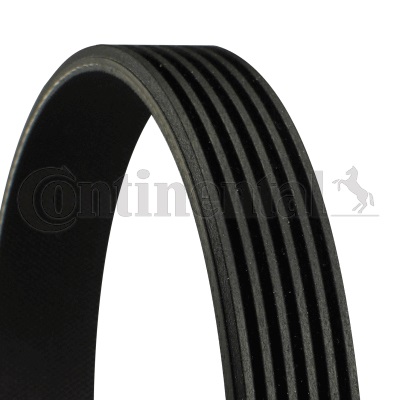 Curea transmisie cu caneluri 6PK2275 CONTINENTAL CTAM BR
