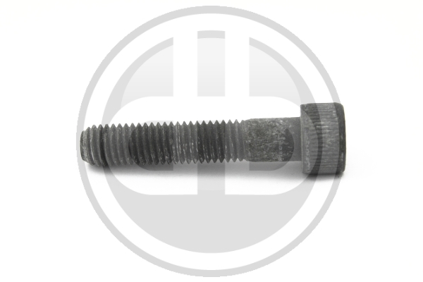 Surub, suport injector 6A41826 BUCHLI