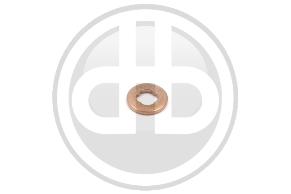 Inel etansare, injector 6A41955 BUCHLI