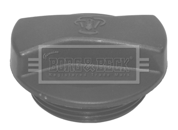 Buson,vas expansiune BRC105 BORG & BECK