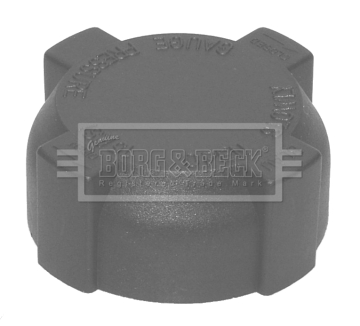 Buson,vas expansiune BRC106 BORG & BECK