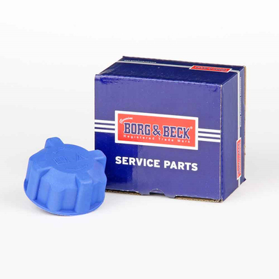 Buson,vas expansiune BRC107 BORG & BECK
