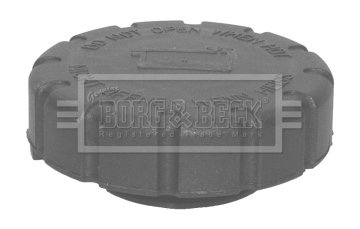 Buson,vas expansiune BRC110 BORG & BECK