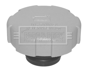 Buson,vas expansiune BRC111 BORG & BECK