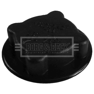 Buson,vas expansiune BRC80 BORG & BECK