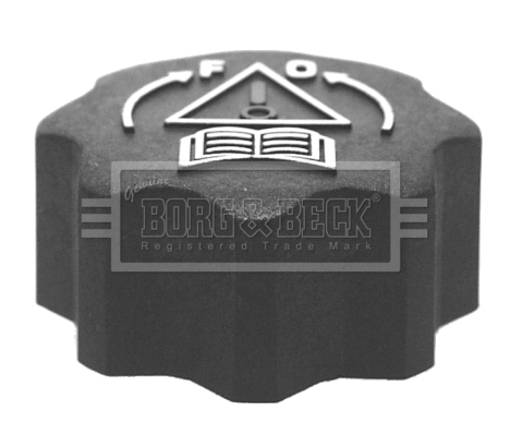 Buson,vas expansiune BRC93 BORG & BECK