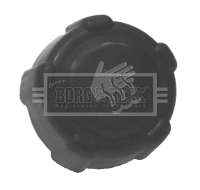 Buson,vas expansiune BRC95 BORG & BECK