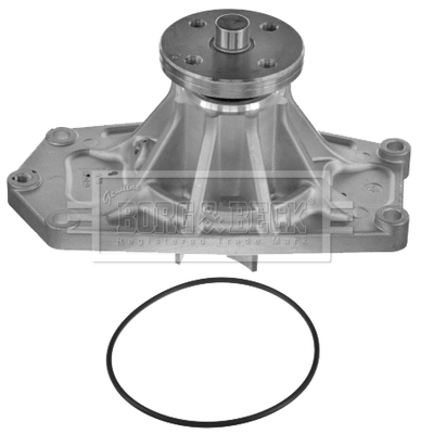 Pompă de apă, răcire motor BWP2164 BORG & BECK