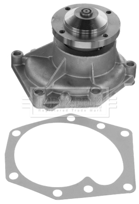 Pompă de apă, răcire motor BWP32695 BORG & BECK