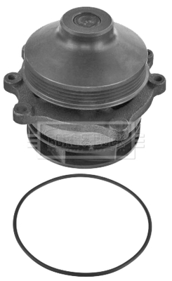 Pompă de apă, răcire motor BWP32708 BORG & BECK