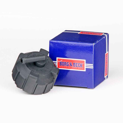 Buson,vas expansiune BRC96 BORG & BECK