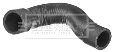Furtun ear supraalimentare BTH1449 BORG & BECK