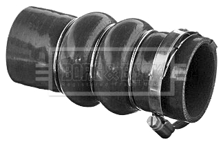 Furtun ear supraalimentare BTH1511 BORG & BECK