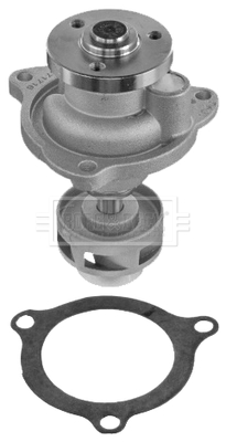 Pompă de apă, răcire motor BWP2079 BORG & BECK