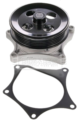 Pompă de apă, răcire motor BWP2468 BORG & BECK