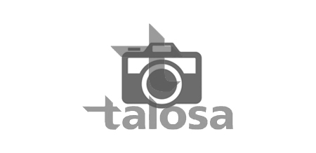 Brat, suspensie roata 30-22078 TALOSA