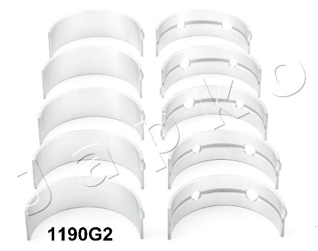 Set rulemt arbore cotit 61190G2 JAPKO