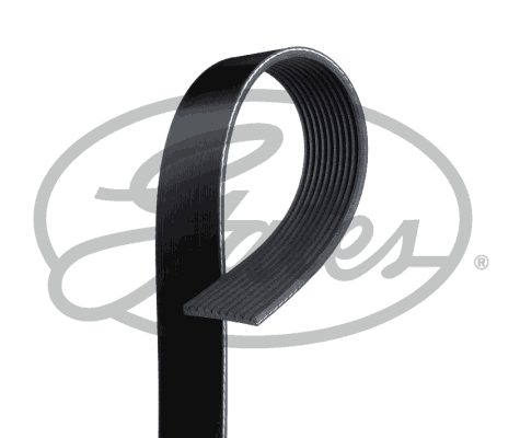 Curea transmisie cu caneluri 10PK2480HD GATES-AU