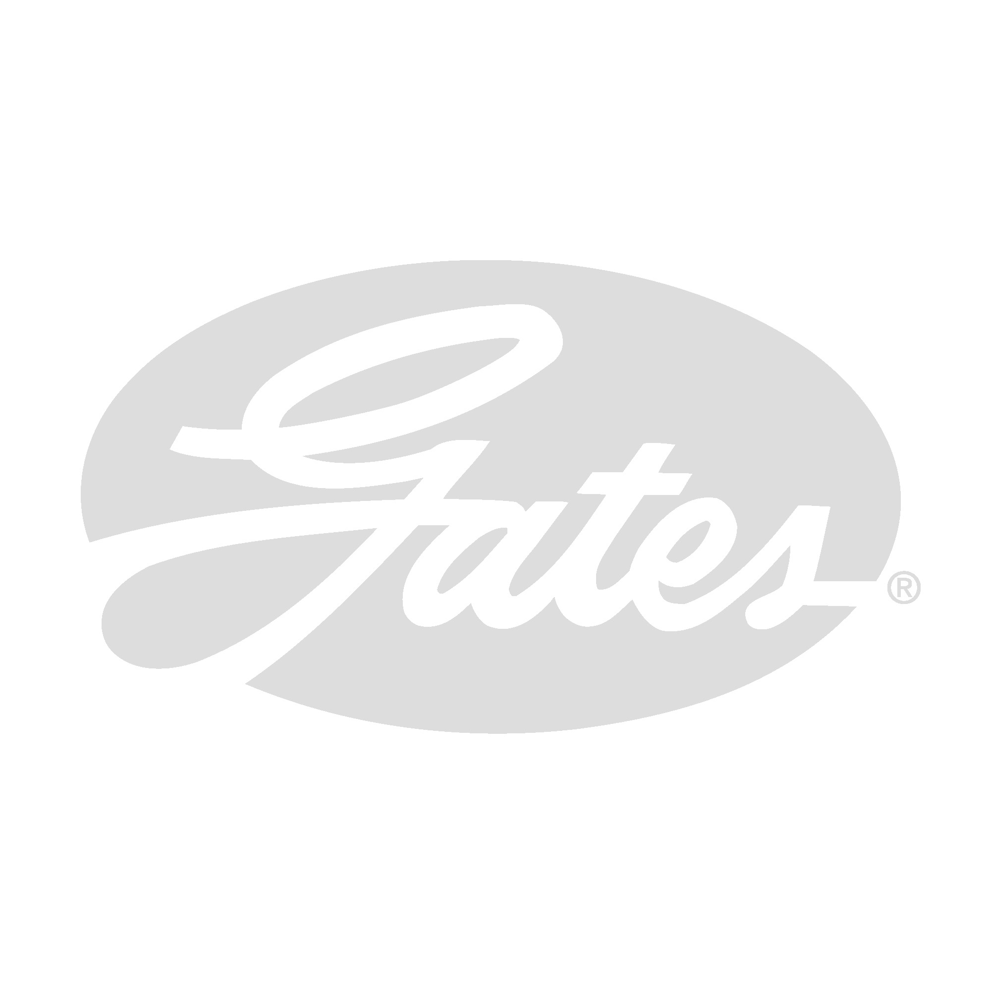 Intinzator curea, curea distributie 38650 GATES-AU
