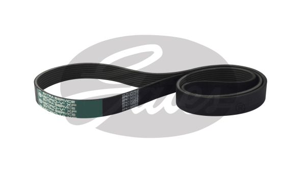 Curea transmisie cu caneluri 8PK1565HD GATES-AU