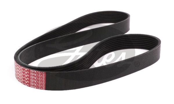 Curea transmisie cu caneluri 8PK1615 GATES-AU