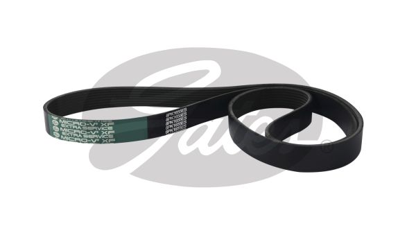 Curea transmisie cu caneluri 8PK1655HD GATES-AU
