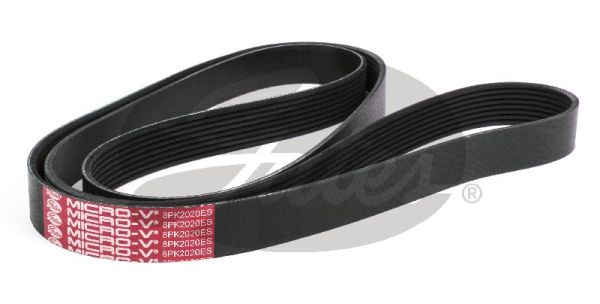 Curea transmisie cu caneluri 8PK2020HD GATES-AU