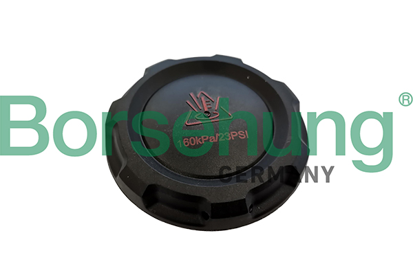 Buson,vas expansiune B12203 Borsehung