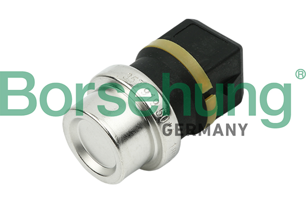 Senzor,temperatura lichid de racire B13134 Borsehung