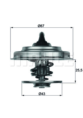 Termostat,lichid racire WG2260478 WILMINK GROUP