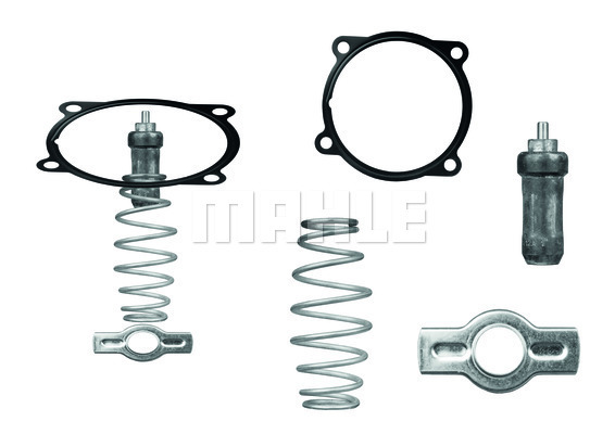 Termostat,lichid racire WG1217967 WILMINK GROUP