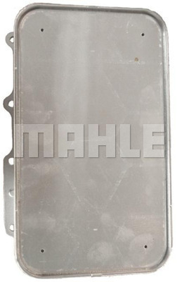 Radiator ulei, ulei motor WG2181154 WILMINK GROUP
