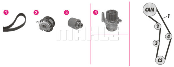 Set pompa apa + curea dintata WG2182157 WILMINK GROUP