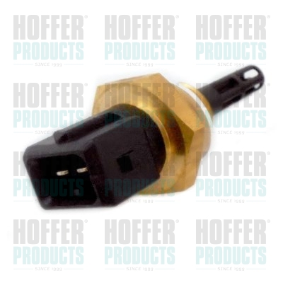 Senzor,temperatura aer admisie WG1900376 WILMINK GROUP