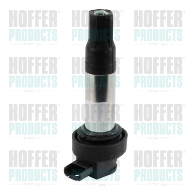 Bobina de inductie WG2174875 WILMINK GROUP