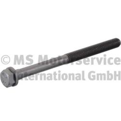 Surub chiulasa WG1967099 WILMINK GROUP