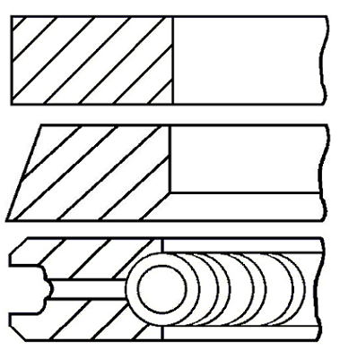 Set segmenti piston WG1096532 WILMINK GROUP