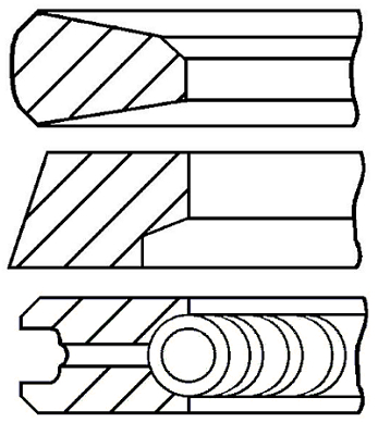 Set segmenti piston WG1096232 WILMINK GROUP