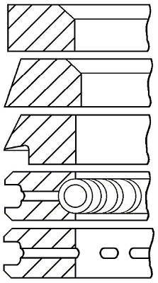 Set segmenti piston WG1096545 WILMINK GROUP