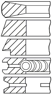 Set segmenti piston WG1186974 WILMINK GROUP